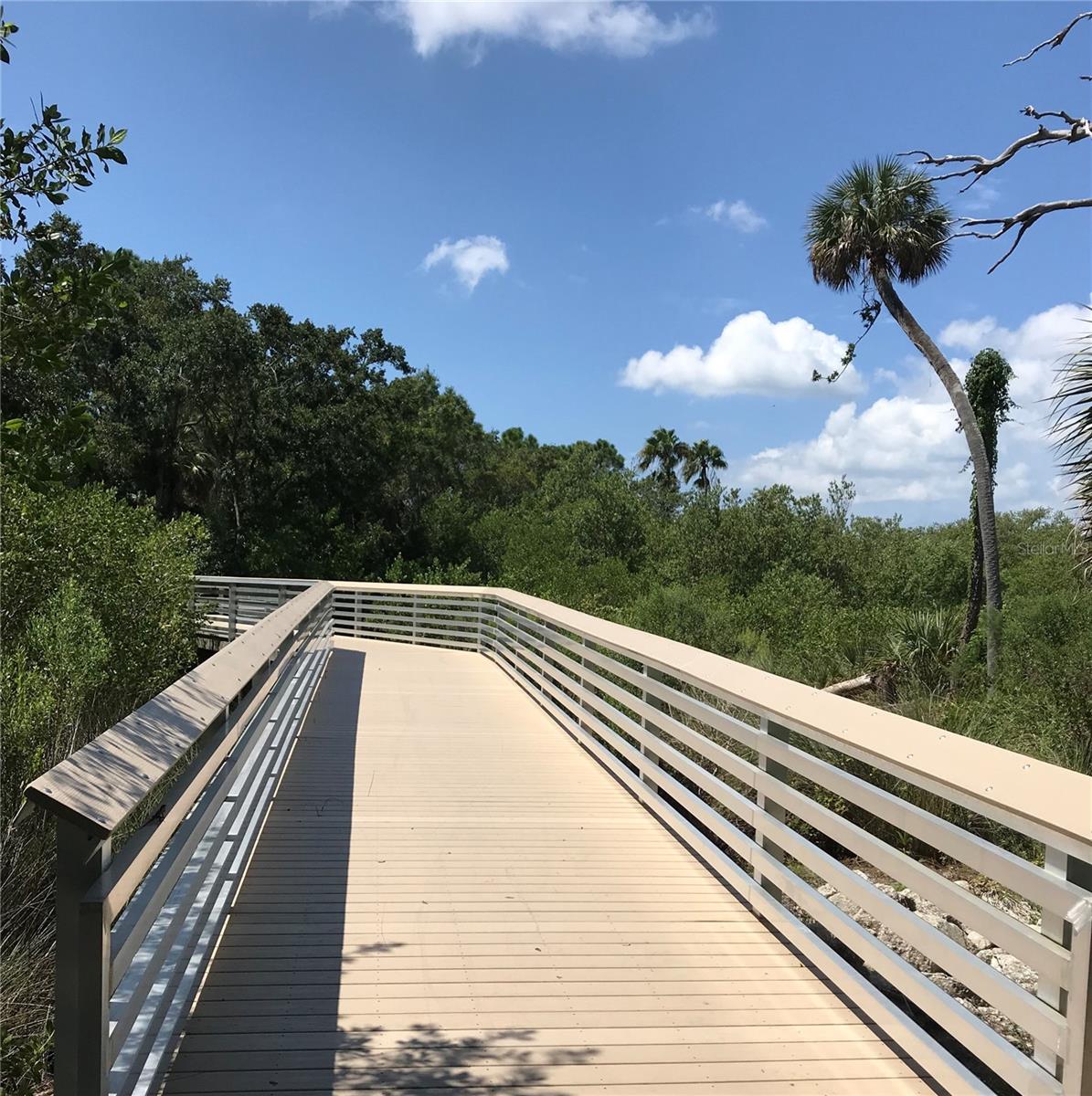 Image 20 of 23 For 3847 30th Avenue S