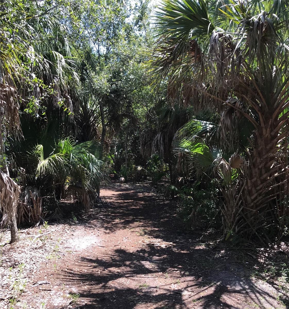 Image 22 of 23 For 3847 30th Avenue S