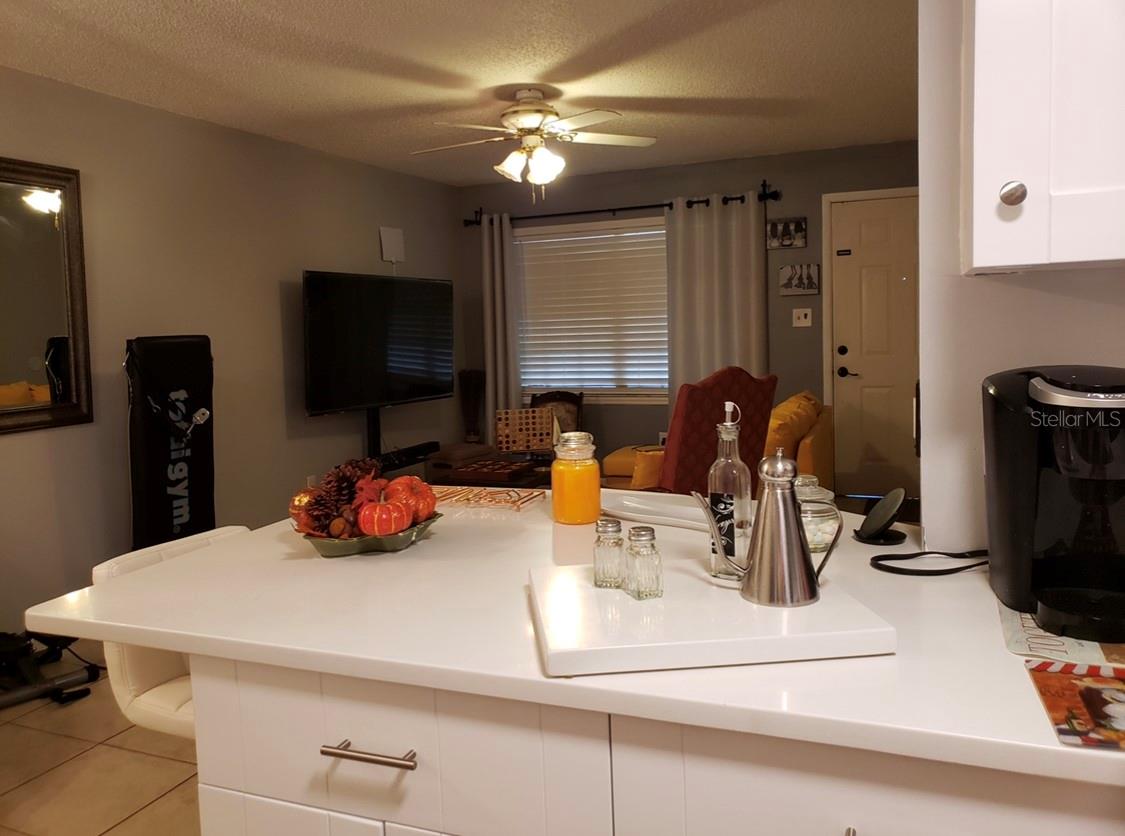 Image 4 of 11 For 4876 Lake Ridge Road 5