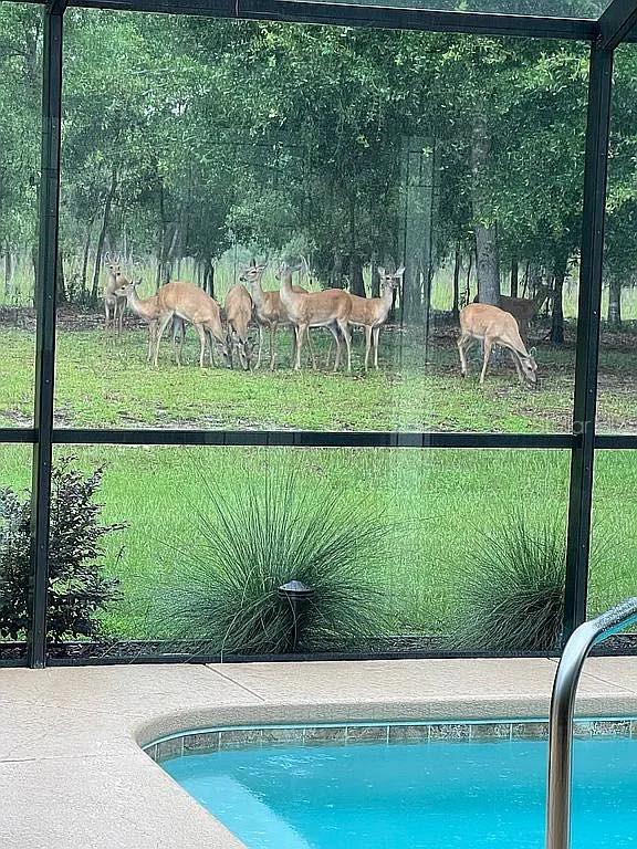 Image 36 of 38 For 21949 85th Loop