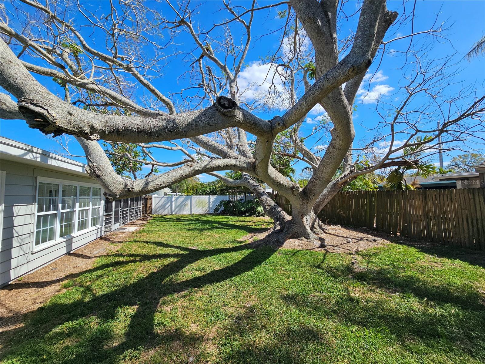 Image 13 of 26 For 3000 Browning Street