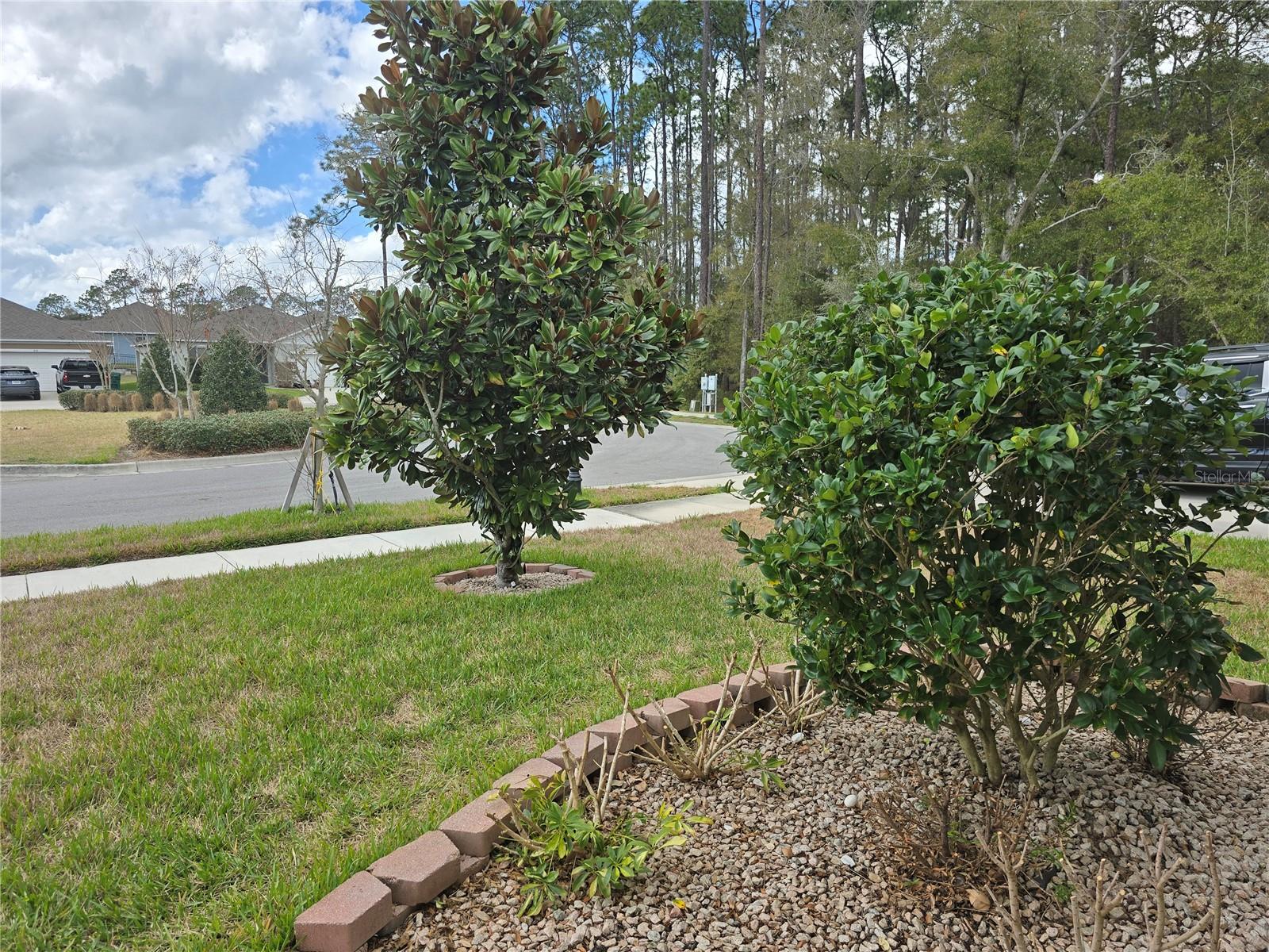 Image 45 of 53 For 532 Emily Glen Street