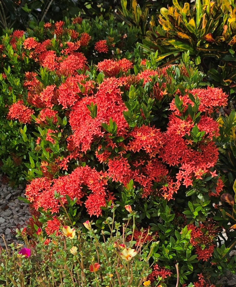 Image 53 of 53 For 532 Emily Glen Street