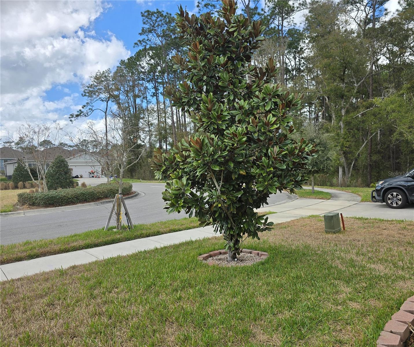 Image 7 of 53 For 532 Emily Glen Street