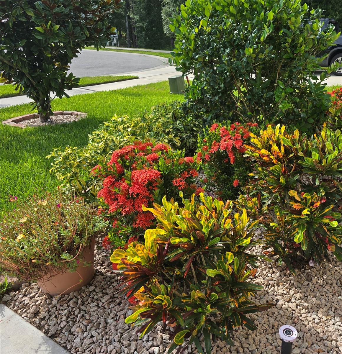 Image 8 of 53 For 532 Emily Glen Street