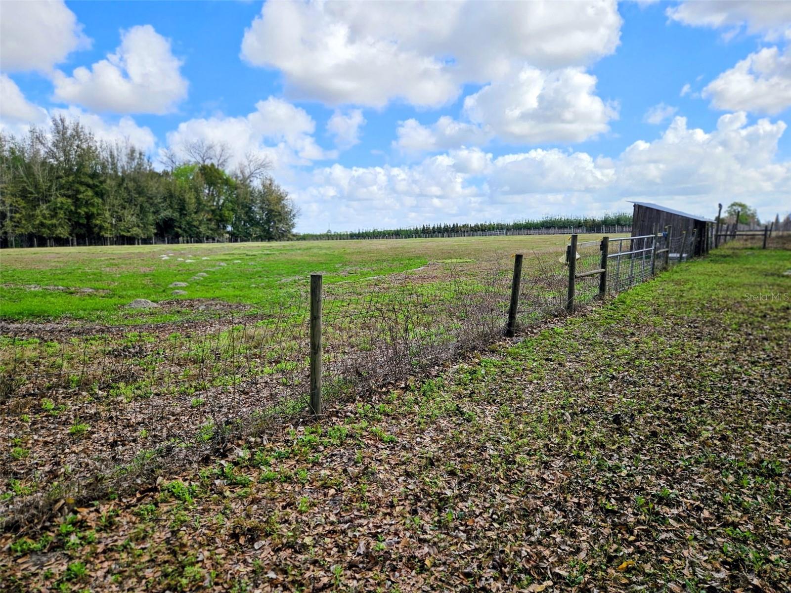 Image 17 of 23 For 1488 Causey Lane