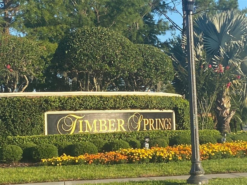 Image 44 of 46 For 337 Bella Vida Boulevard