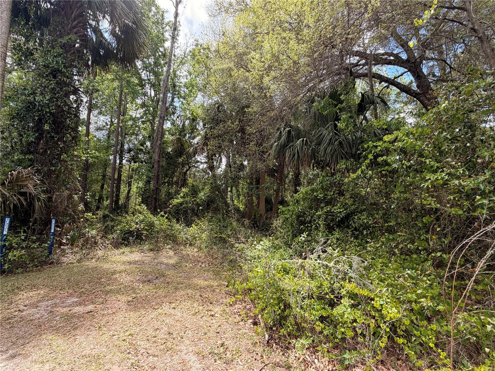 Image 2 of 8 For County Road 445a