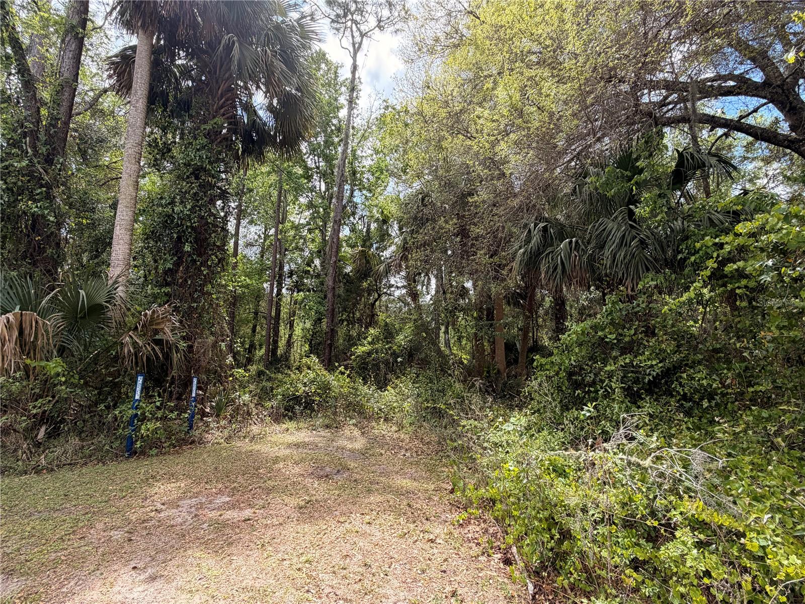 Image 3 of 8 For County Road 445a