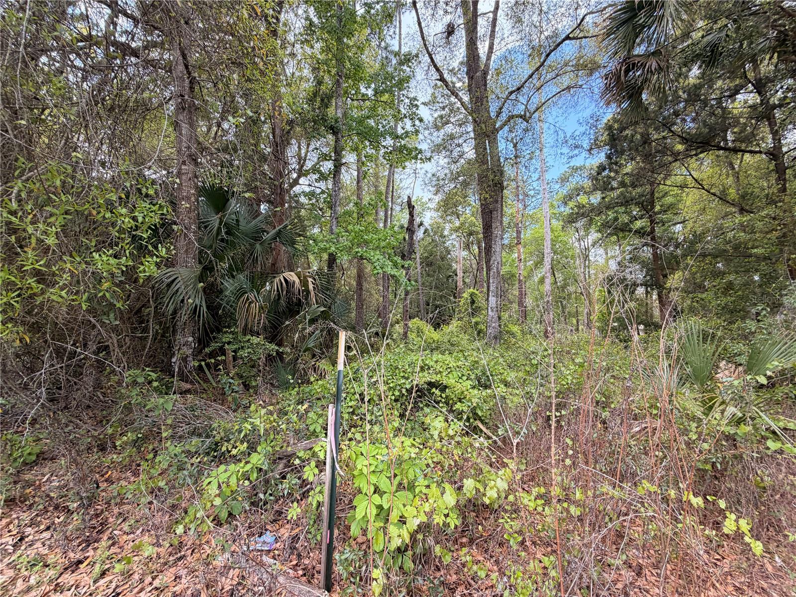 Image 8 of 8 For County Road 445a