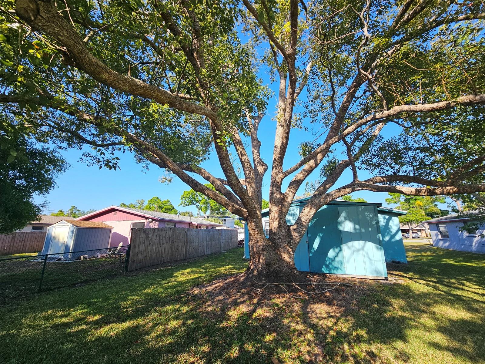 Image 20 of 27 For 4849 Camphor Avenue