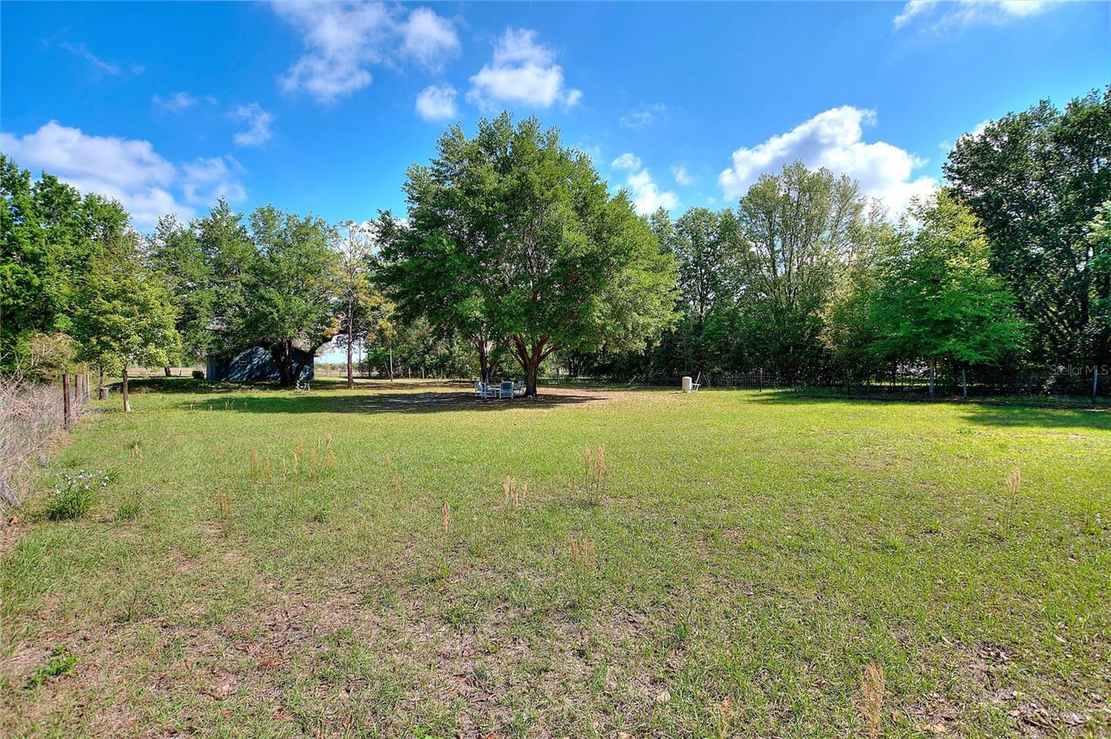 Image 37 of 43 For 3443 County Road 557a