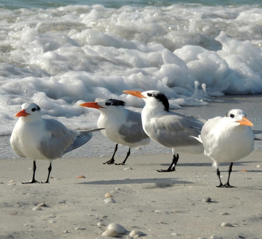 Image 69 of 76 For 1761 Auburn Lakes Drive 11