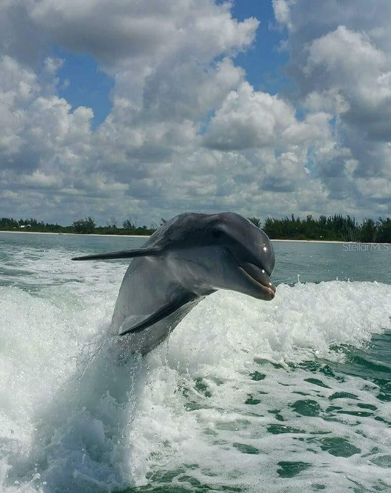 Image 71 of 76 For 1761 Auburn Lakes Drive 11