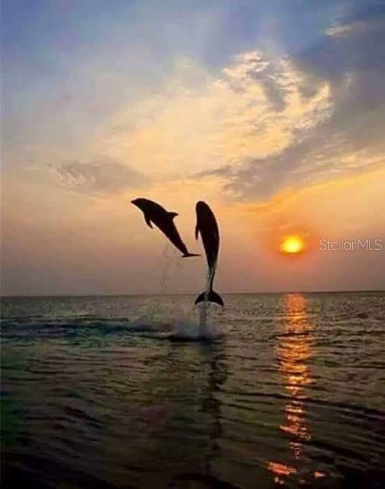 Image 74 of 76 For 1761 Auburn Lakes Drive 11