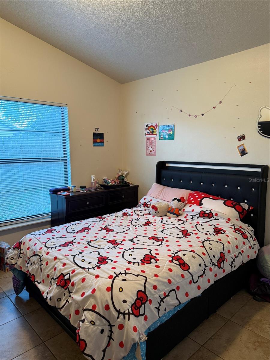 Image 9 of 14 For 3916 Magnolia Lake Lane