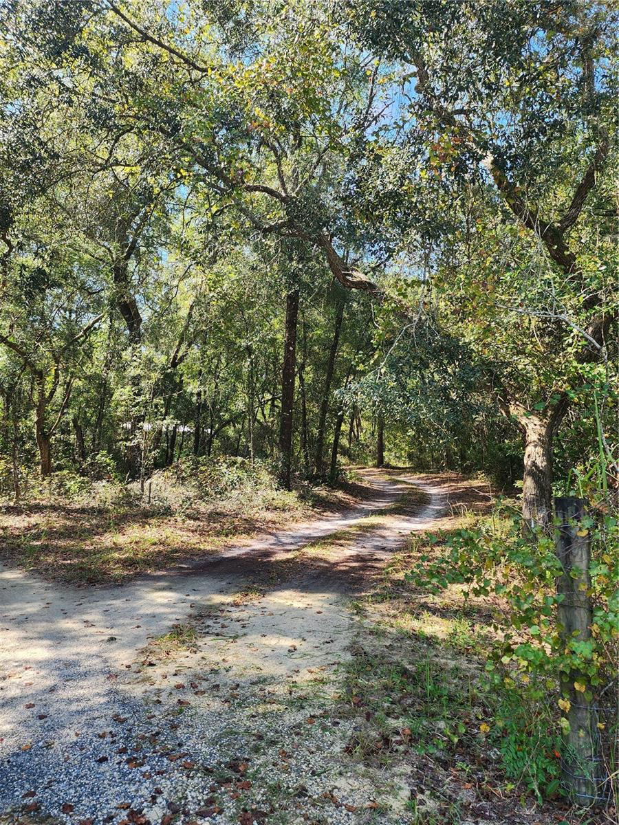 Image 10 of 78 For 7910 141st Street