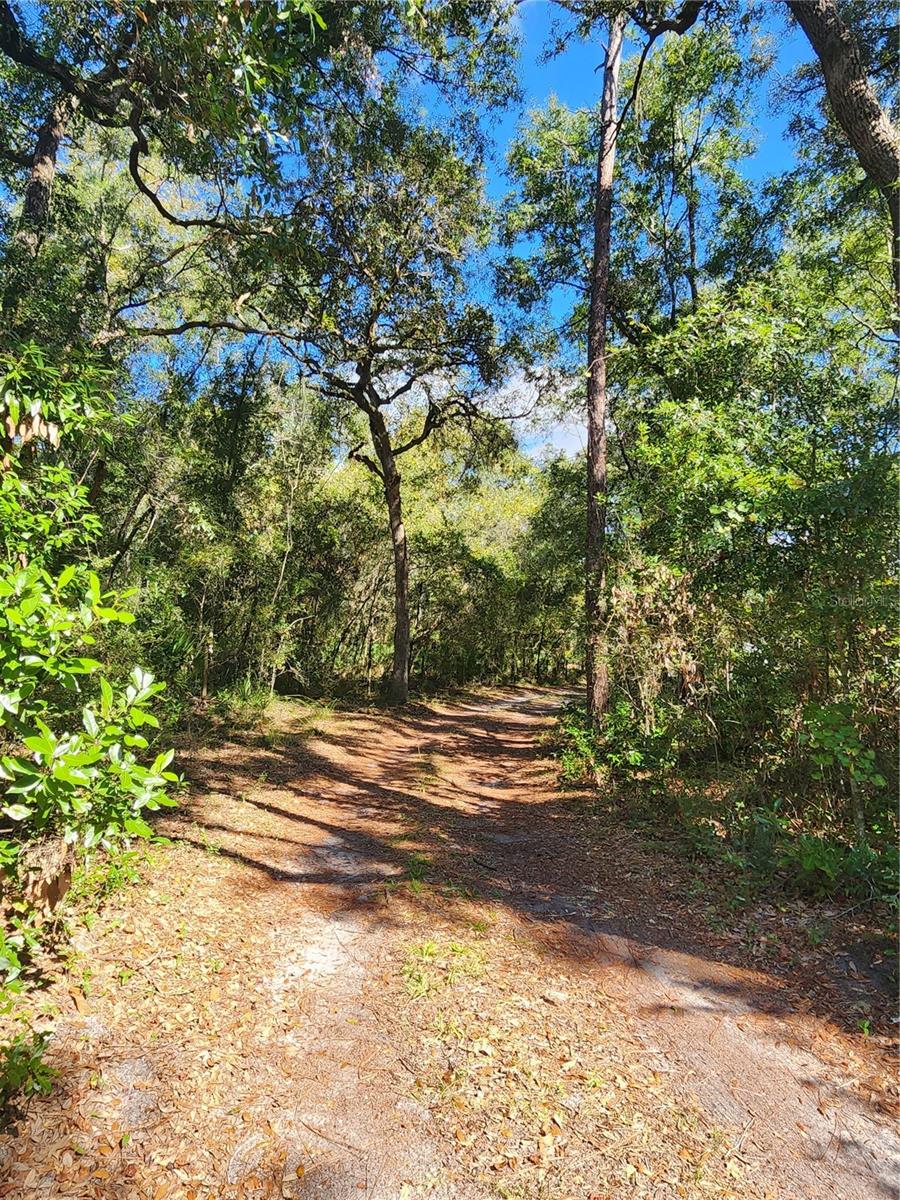 Image 13 of 78 For 7910 141st Street