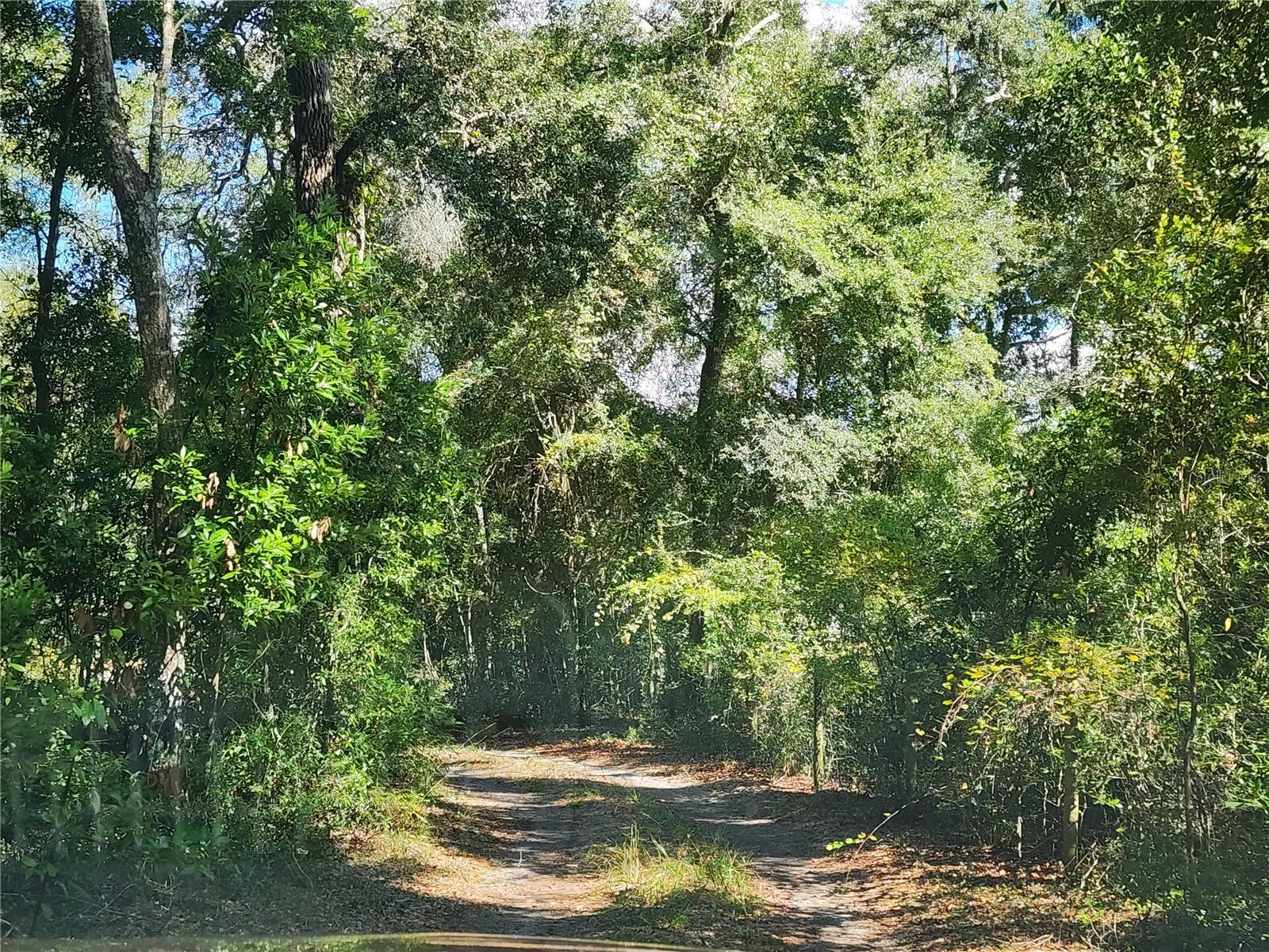 Image 14 of 78 For 7910 141st Street