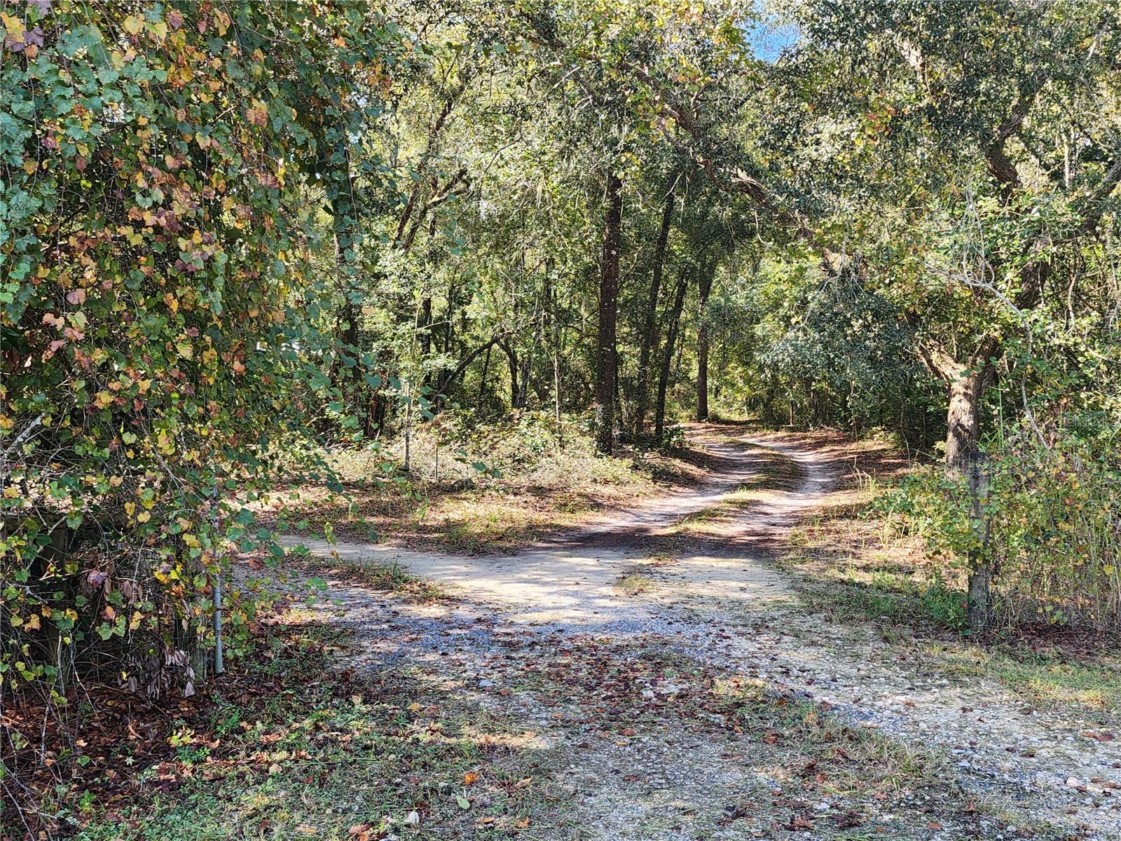 Image 15 of 78 For 7910 141st Street