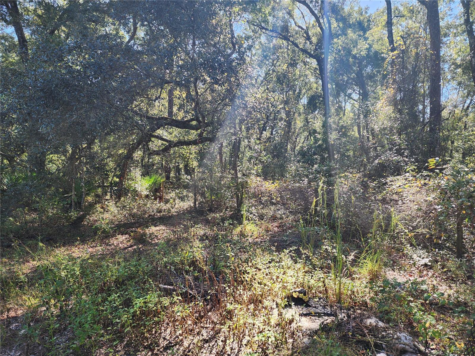 Image 74 of 78 For 7910 141st Street