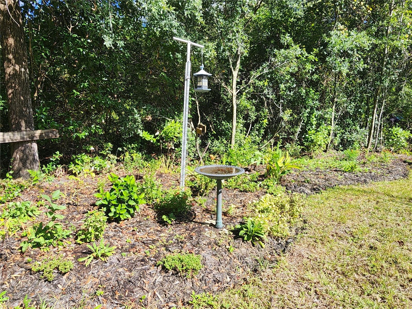 Image 76 of 78 For 7910 141st Street