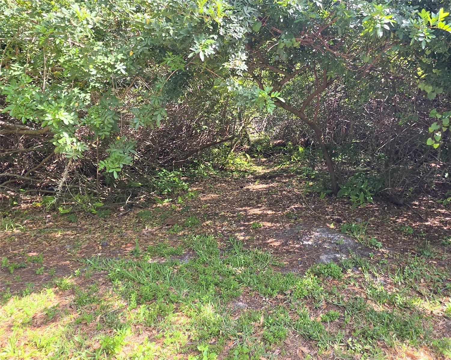 Image 23 of 29 For 3853 Stratfield Drive