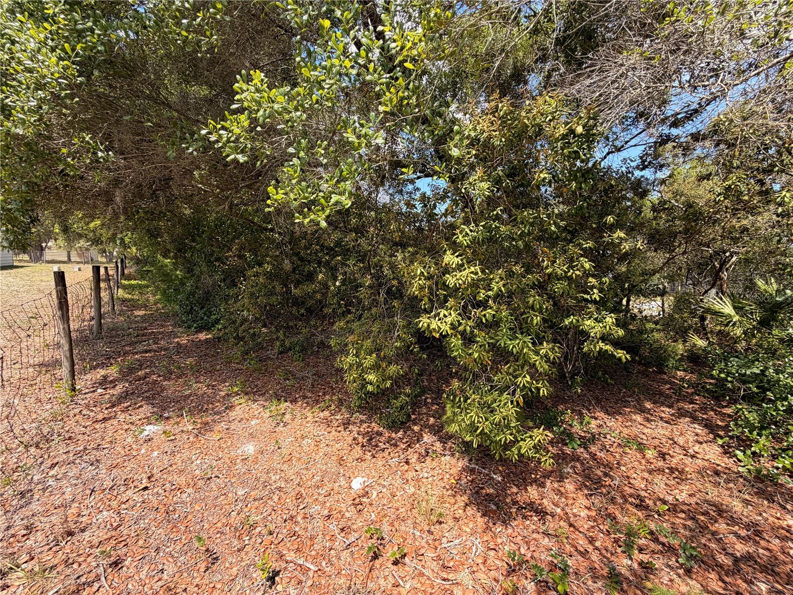 Image 32 of 36 For 472 Shaw Lake Road