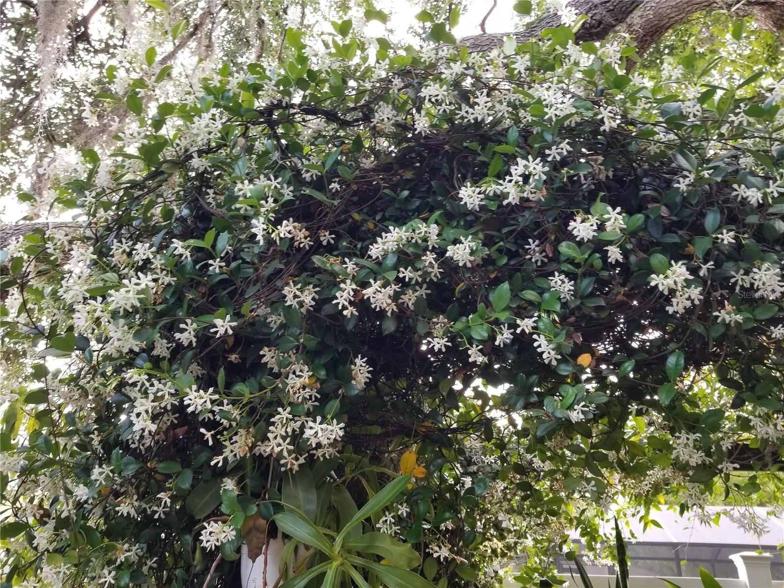 Image 57 of 100 For 1720 Fossil Drive