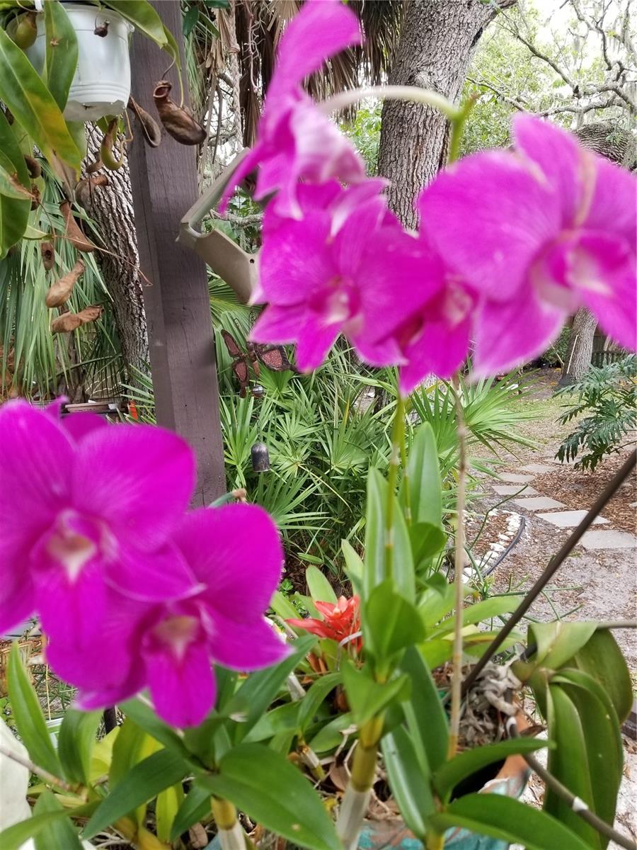 Image 71 of 100 For 1720 Fossil Drive