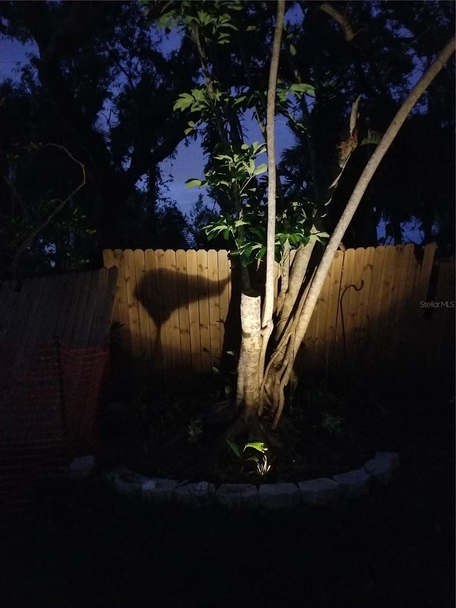 Image 78 of 100 For 1720 Fossil Drive