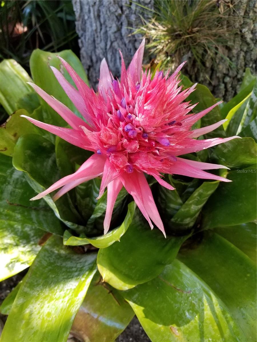 Image 81 of 100 For 1720 Fossil Drive