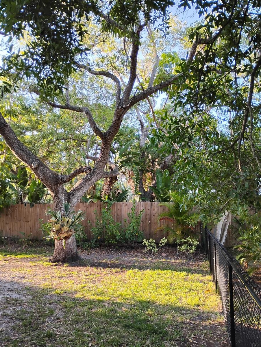 Image 99 of 100 For 1720 Fossil Drive