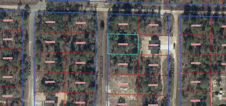 Listing Details for 153rd Avenue, WILLISTON, FL 32696