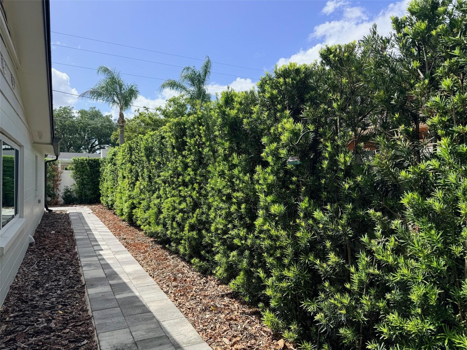 Image 34 of 35 For 921 Thistle Lane