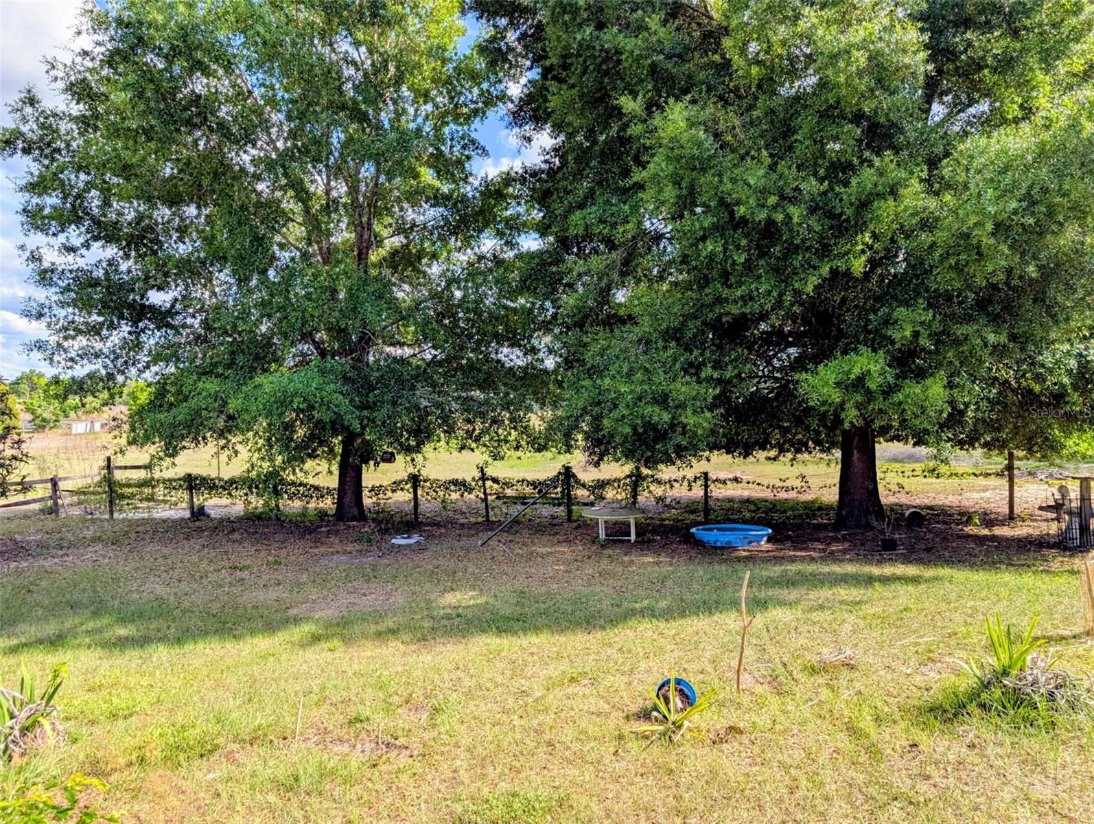 Listing photo id 13 for 35819 Nova Lane