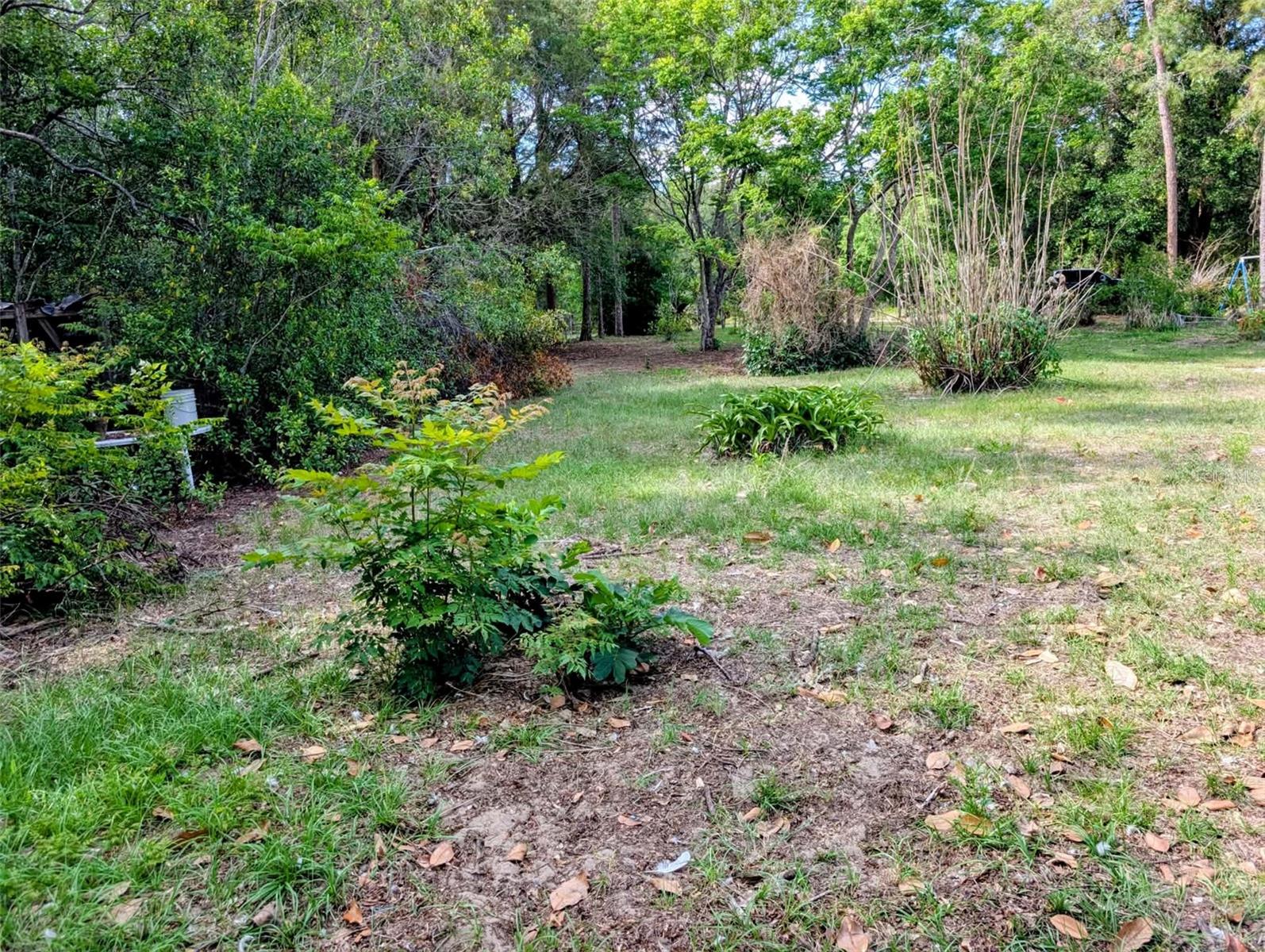 Listing photo id 14 for 35819 Nova Lane