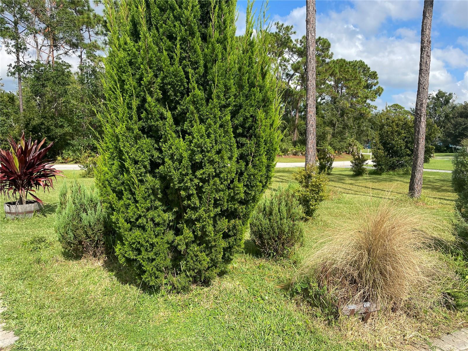 Image 4 of 43 For 213 Riverbend Road