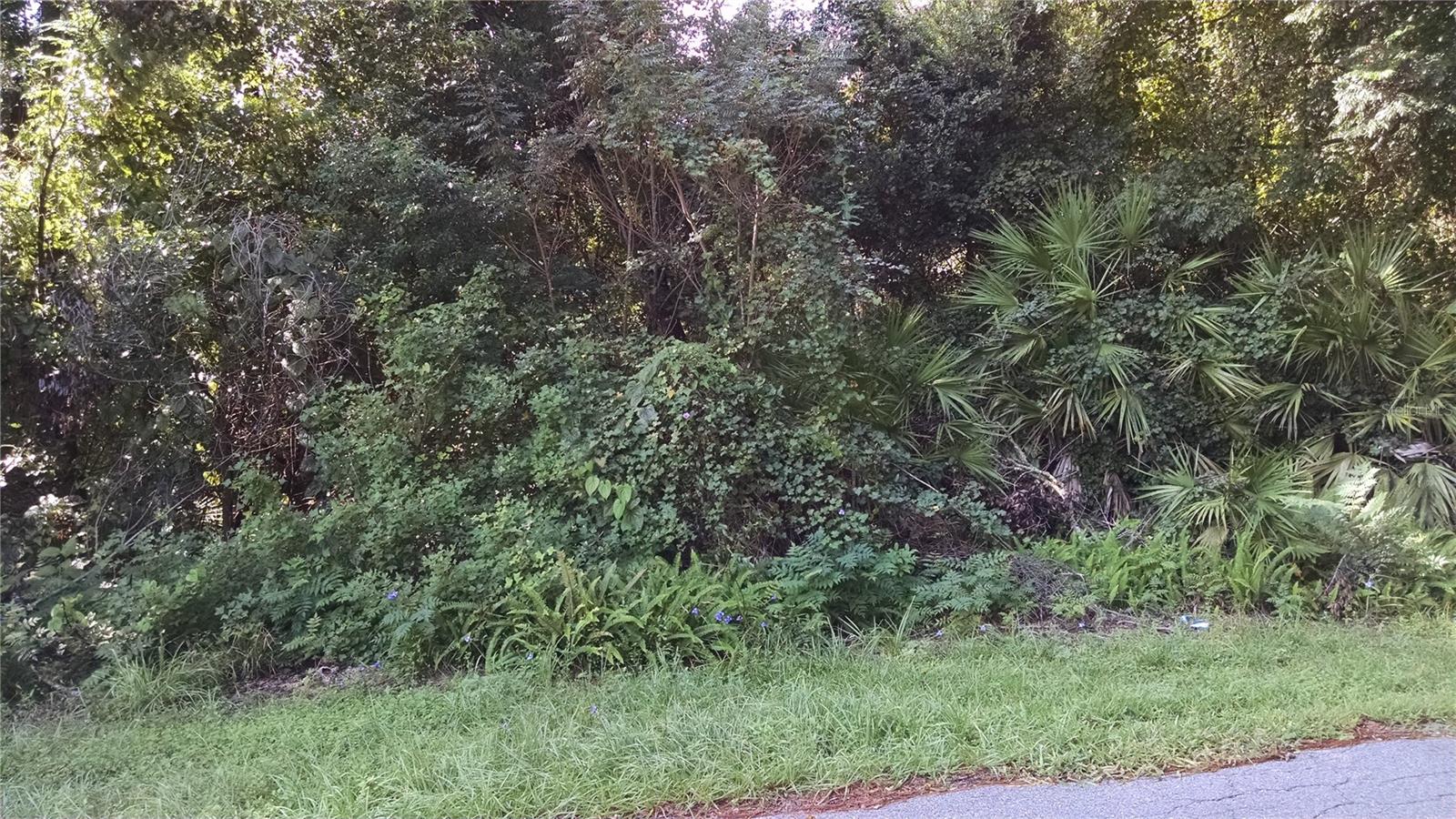 Listing Details for 1361 Howland Boulevard, DELTONA, FL 32738