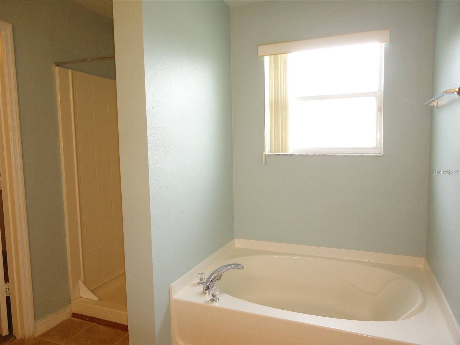 Image 15 of 23 For 121 Bristol Forest Trail