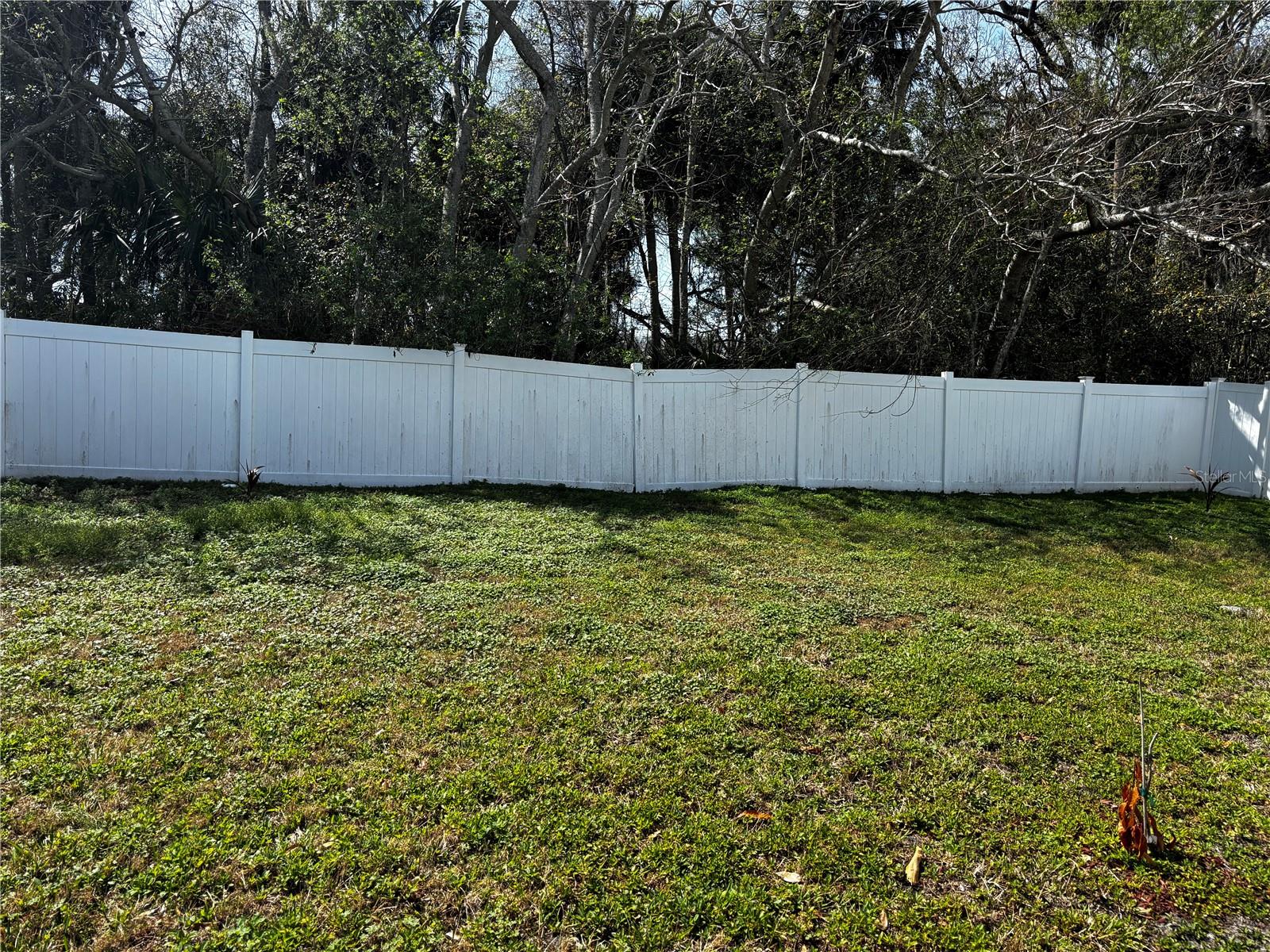 Image 22 of 23 For 121 Bristol Forest Trail