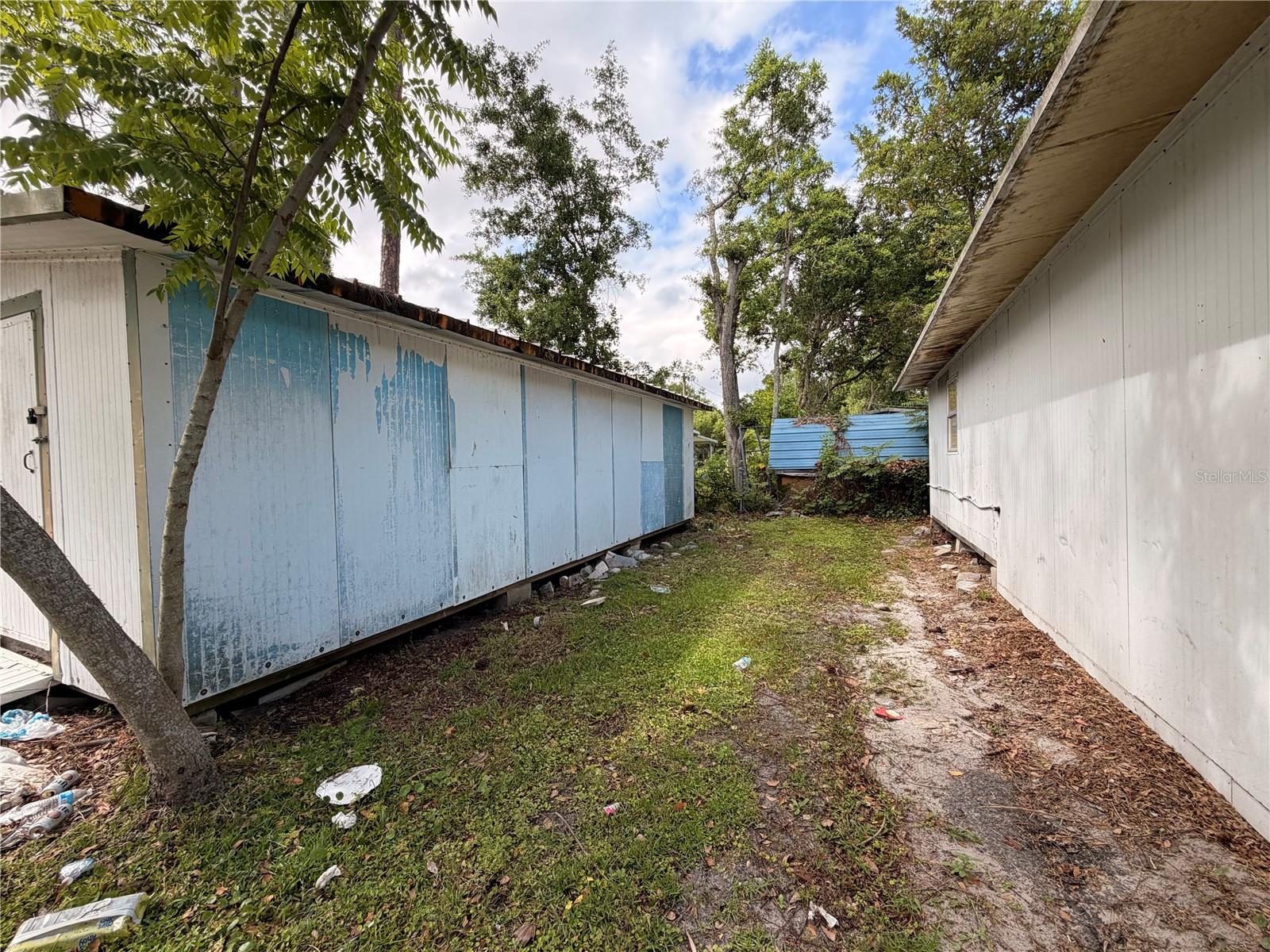 Image 8 of 12 For Armadillo Road