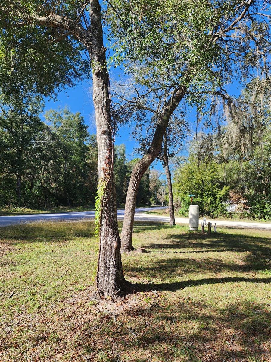 Image 5 of 67 For 7351 170th Street