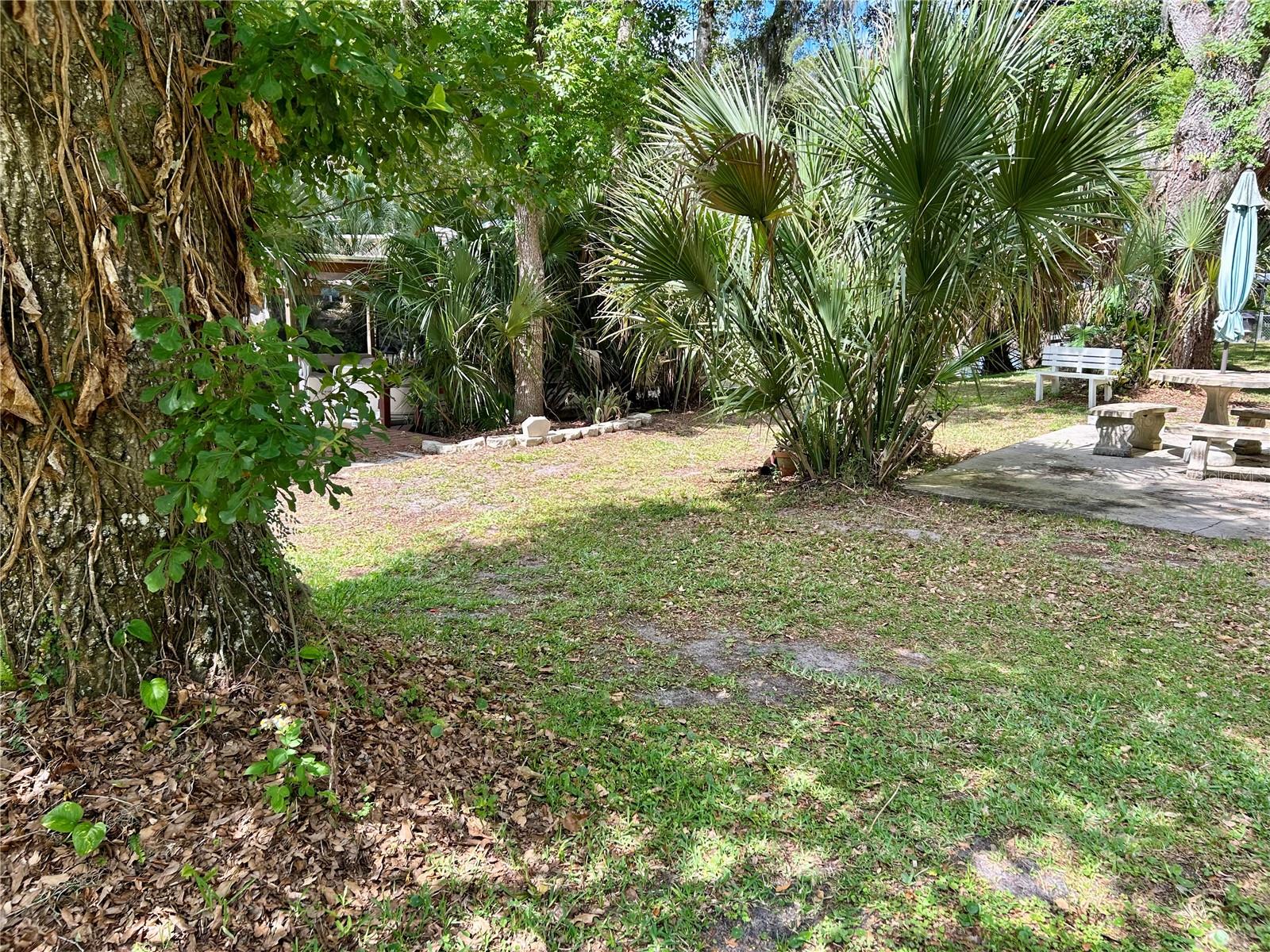 Image 39 of 48 For 25646 Bass Road