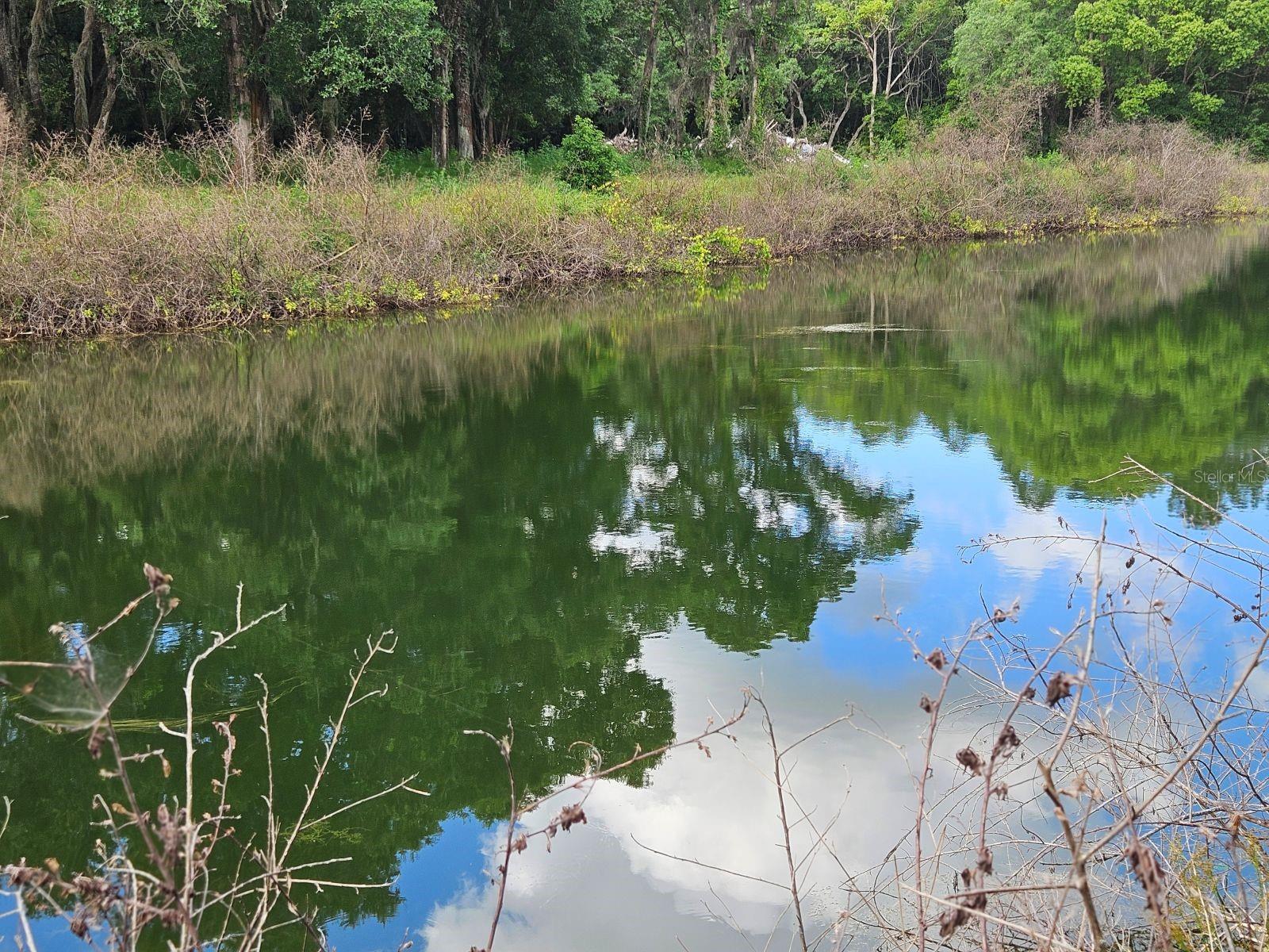Details for Burnsed Road, PIERSON, FL 32180
