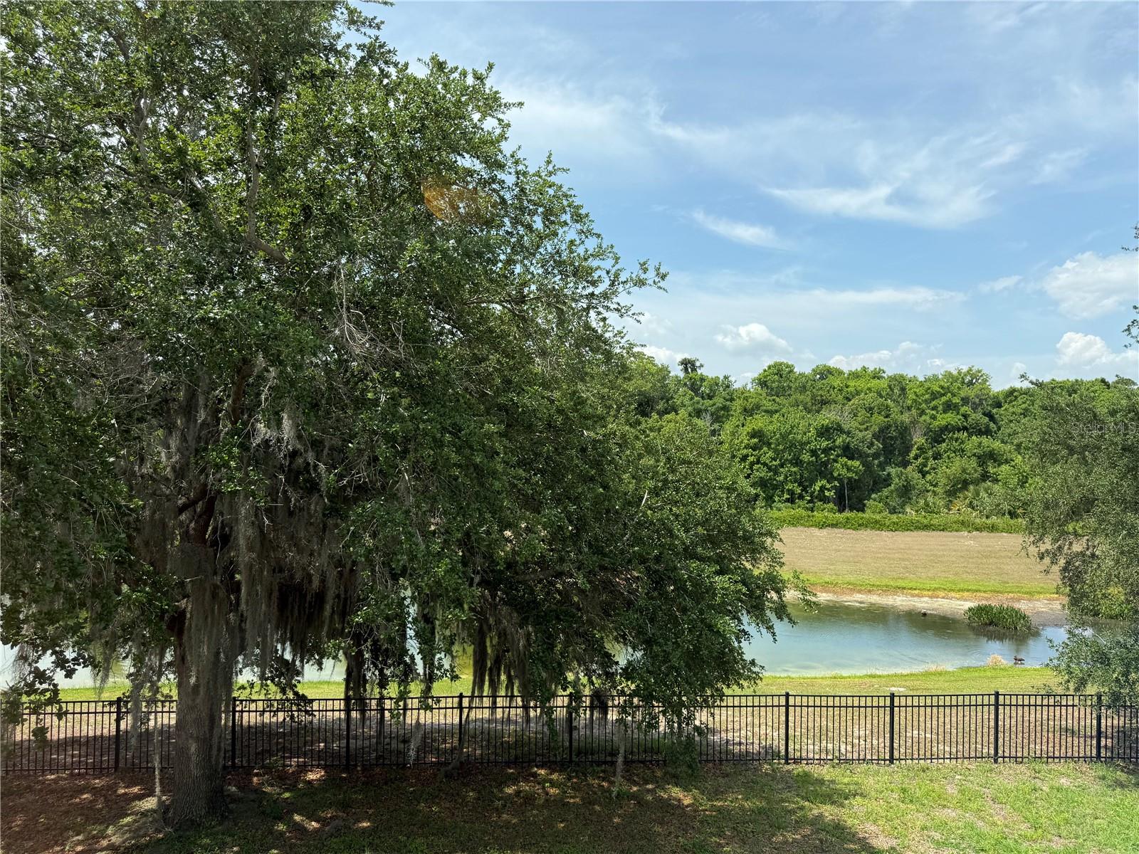 Image 46 of 49 For 345 Beacon Pointe Drive
