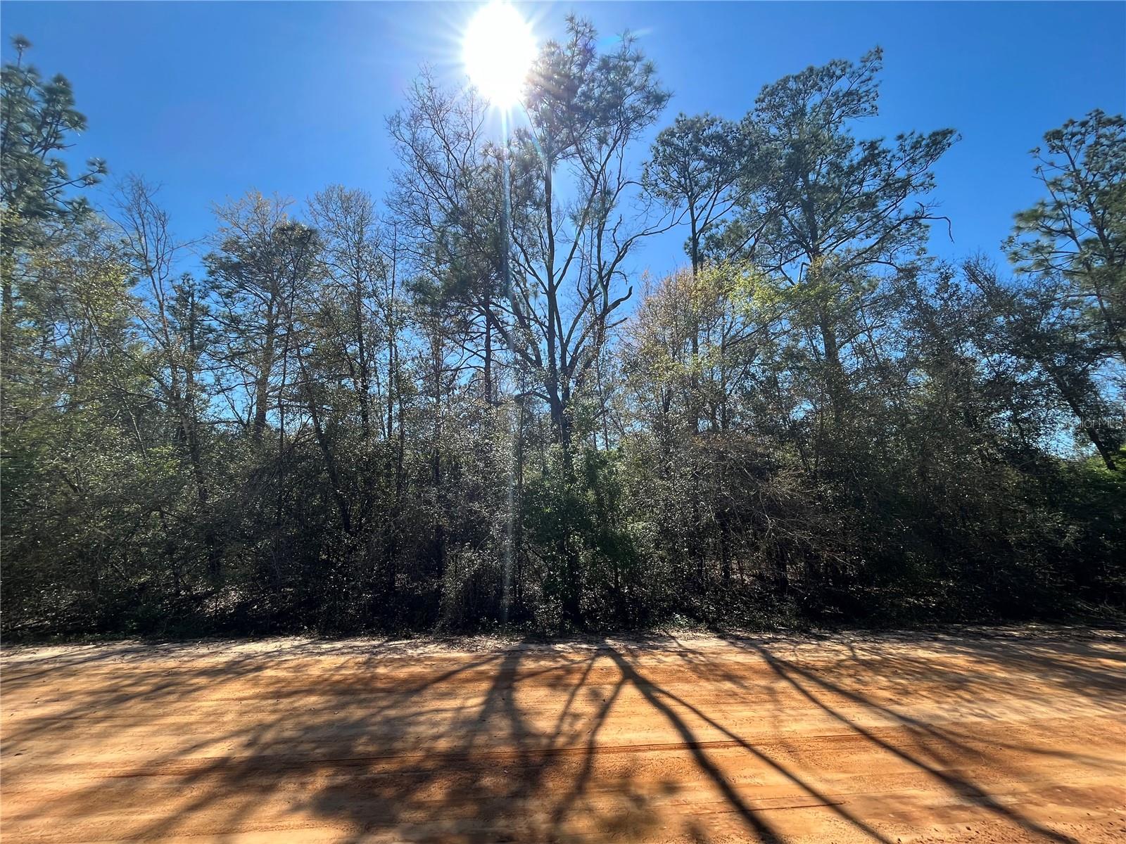 Details for Rossville Avenue, ALFORD, FL 32420