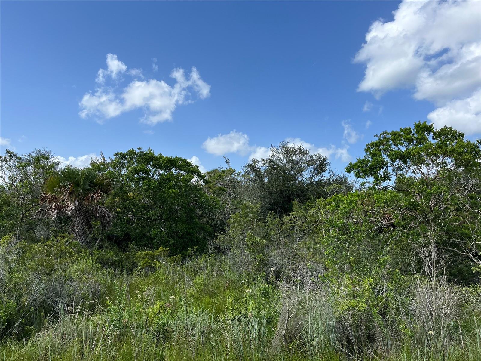 Details for 15723 304th Street, OKEECHOBEE, FL 34972