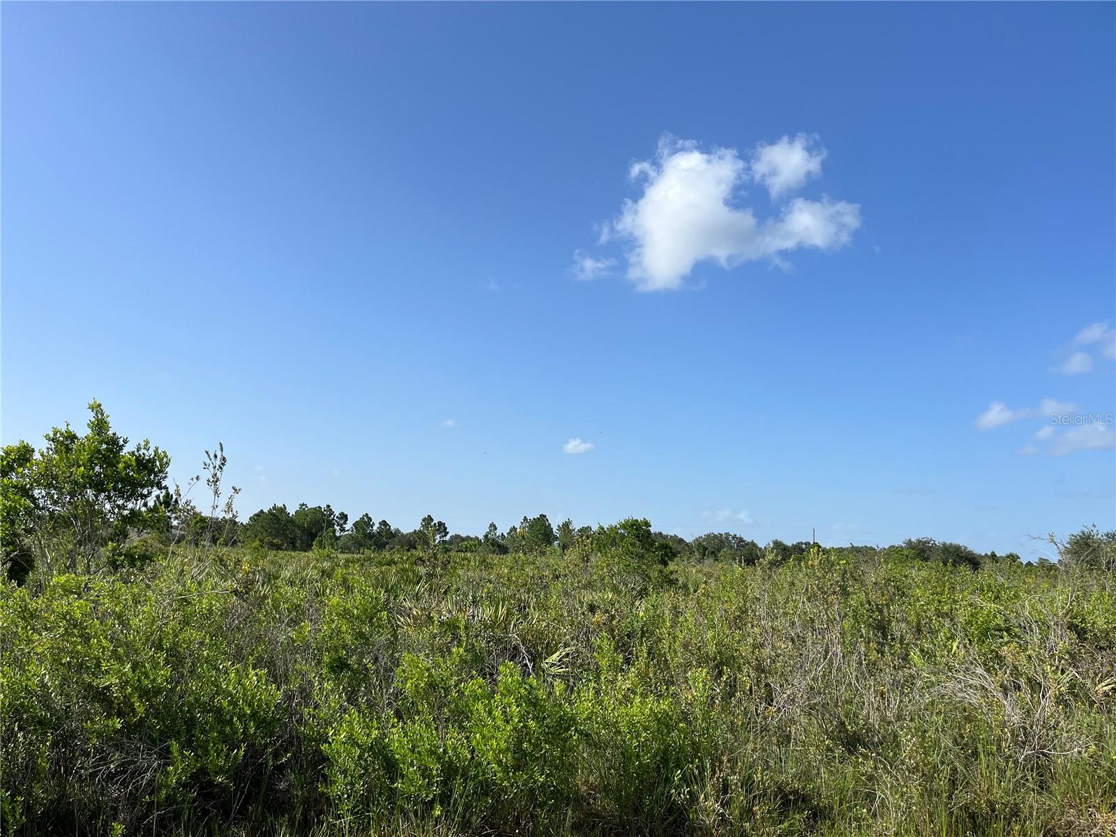 Details for 15883 276th Street, OKEECHOBEE, FL 34972