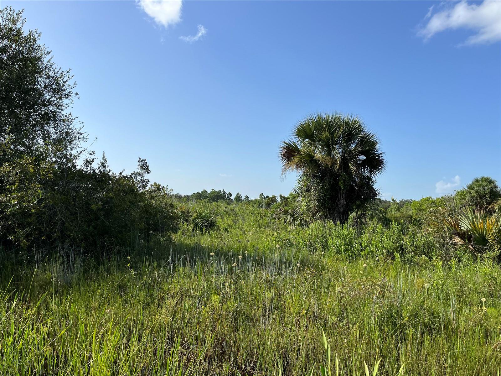 Image 8 of 17 For 15883 276th Street